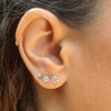 Amadora Tight Earrings -  Zircon